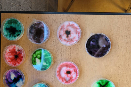 Printemps des Sciences